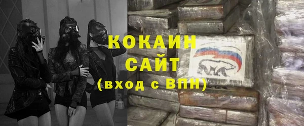 прущие грибы Абаза
