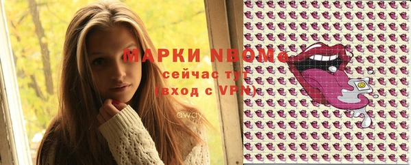 прущие грибы Абаза