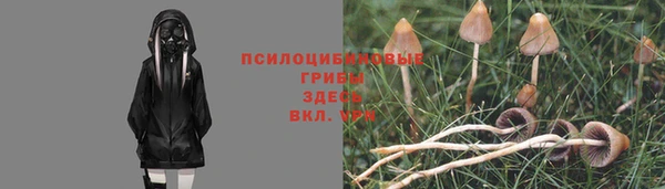 прущая мука Алексин