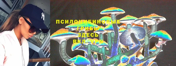 прущие грибы Абаза