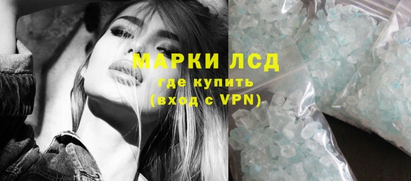прущие грибы Абаза