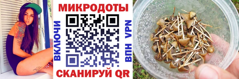 Галлюциногенные грибы Magic Shrooms  это официальный сайт  Камышлов  даркнет сайт 