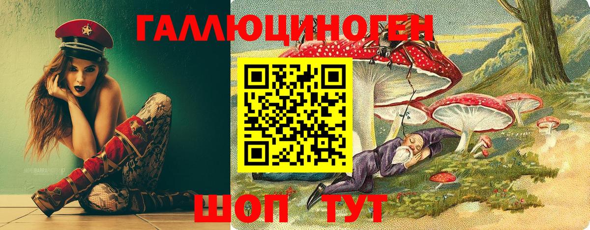 Галлюциногенные грибы Psilocybine cubensis Камышлов